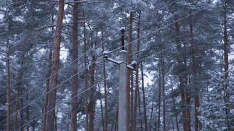 In the winter forest, there is a pole with electrical wires covered in snow. An  Stock Footage 326070156