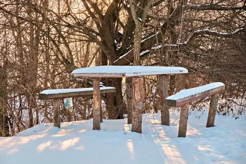 In the winter forest there is a table with benches covered with snow. Stock Photos
