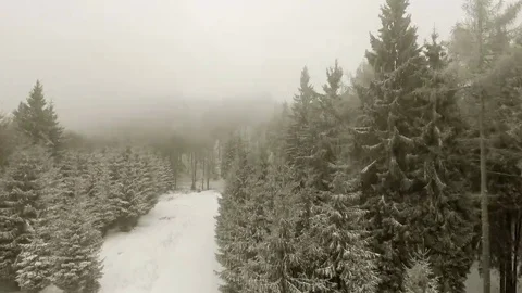 Winter forest through clouds Stock Footage 69191267