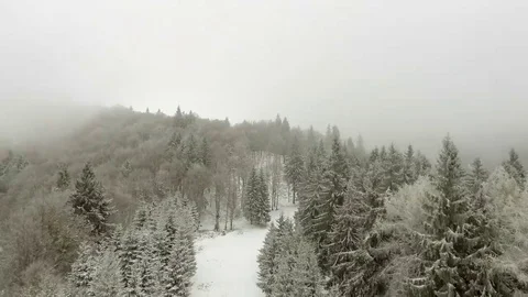 Winter forest through clouds Stock Footage 69191432