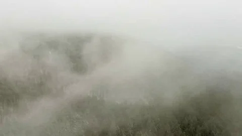 Winter forest through clouds Stock Footage 69191511