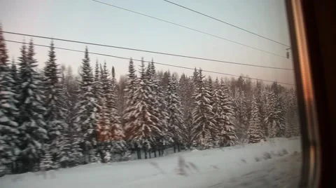 Winter forest through the window on the train, Trans-Siberian Stock Footage 46111438