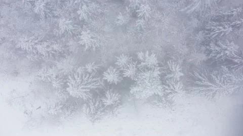 Winter forest top down view Video stock 152399182