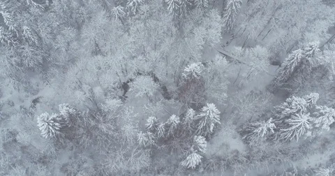 Winter forest top view. snowfall Stock Footage 83643390