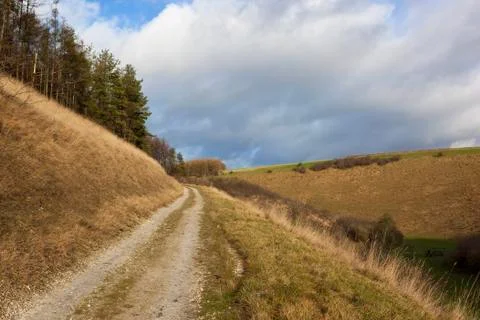 Winter forest track Stock Photos