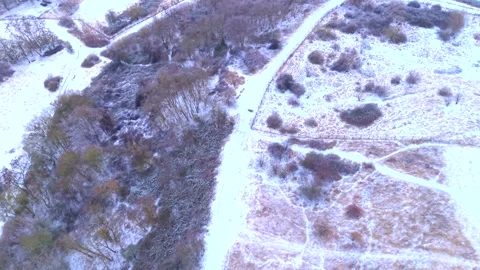 Winter Forest Tree Drone Footage Stock Footage 327827930