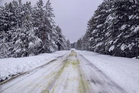 Winter forest trees in the snow cloudy sky snow covered road Stock Photos