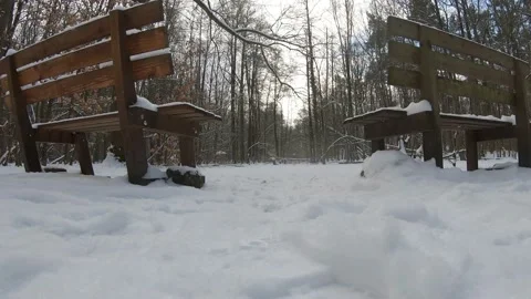 A winter forest with two benches and very much snow Stock Footage 221926084
