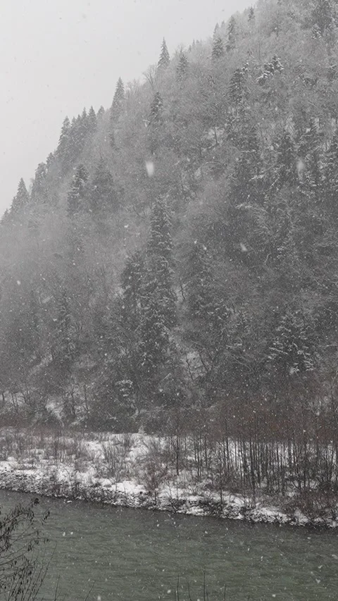 Winter forest under heavy snowfall on river bank against background of mountains 库存影片 270316358