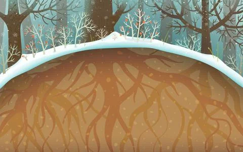 Winter Forest Underground with Roots Below Ground Stock Illustration