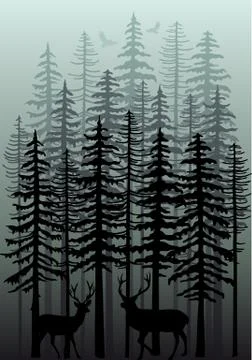 Winter forest, vector Stock Illustration