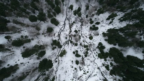 Winter Forest View From Above Video Stock Footage 266892652