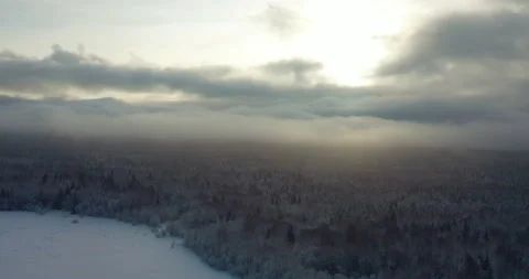 Winter forest.The view from the height of bird flight. Stock Footage 148017675