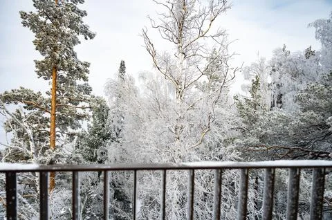 Winter Forest View from Snow-Covered Balcony Stock-Fotos