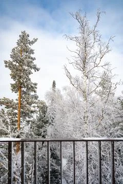 Winter Forest View from Snow-Covered Balcony 스톡 사진