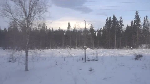 Winter forest, view from the train window Stock Footage 109400819