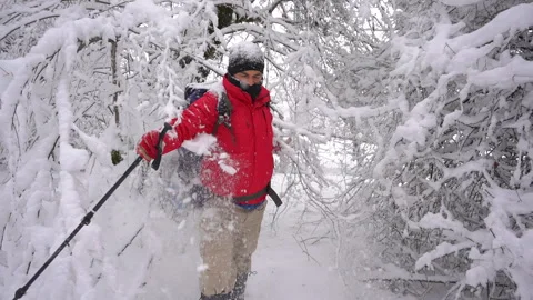 Winter Forest Walk: Man Clears Path Through Snow Covered Trees Stock Footage 315882476