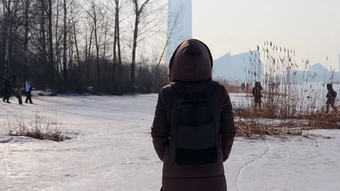 Winter forest walk in a park Stock Footage 267967421