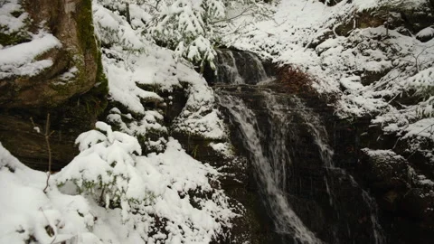 Winter forest waterfall during snowfall. Snowbound trees swaying on cold wind Stock Footage 326094629