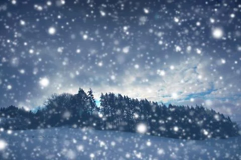 Winter forest with white falling Snow . Stock Photos