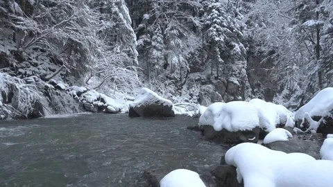Winter forest wild river landscape Stock Footage 83375800