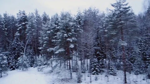 Winter forest from the window of the train Stock Footage 83855422