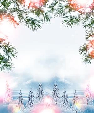 Winter forest. Winter landscape. 写真素材