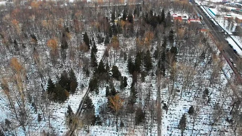 Winter forests Stock Footage 87843353