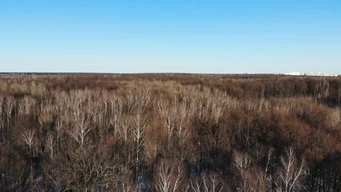 Winter forests in Russia Stock Footage 87843601
