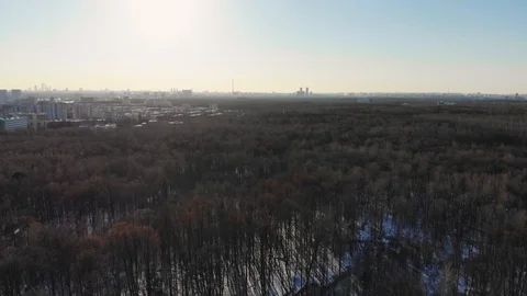 Winter forests in Russia Stock Footage 87843614