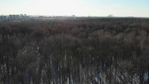 Winter forests in Russia Stock Footage 87843636