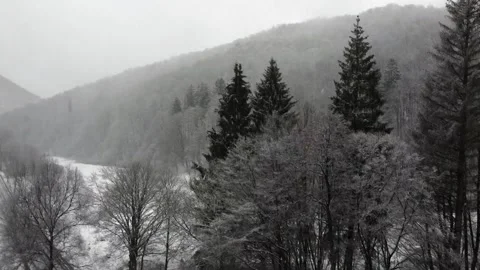 Winter forrest snow flight Video stock 151862190