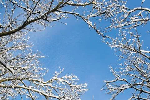 Winter frame Stock Photos