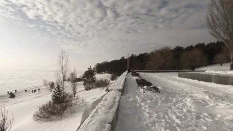 Winter freshness of a clear day. Stock Footage 104968793