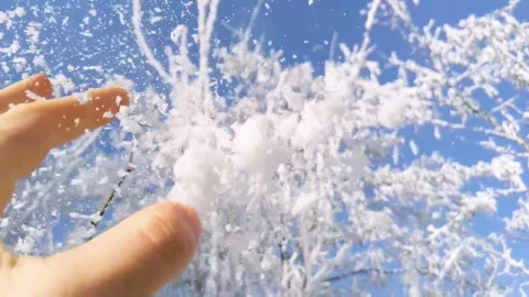 Winter frost on branches, freezing temperature outside cold Stock Footage 144321460