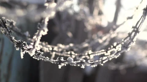 Winter frost Stock Footage 45384797