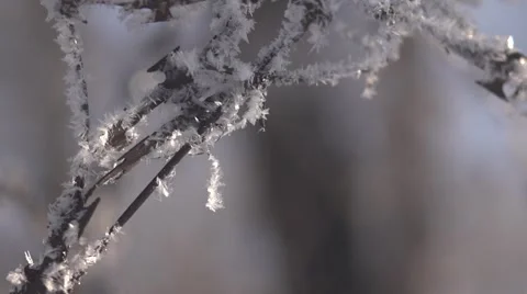 Winter frost Stock Footage 45642723