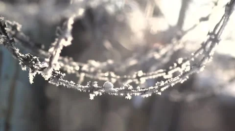 Winter frost Stock Footage 45684521