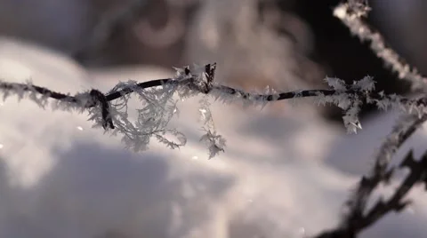 Winter frost Stock Footage 46776883