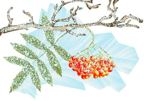 Winter frost Stock Illustration