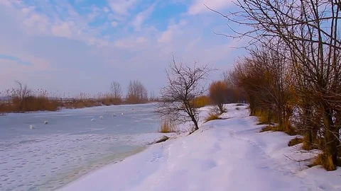 Winter : Frozen River Stock Footage 72879330