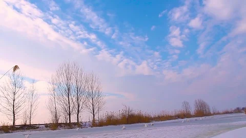 Winter: Frozen River Stock Footage 72879763