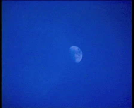 Winter. Full moon Video stock 4886029