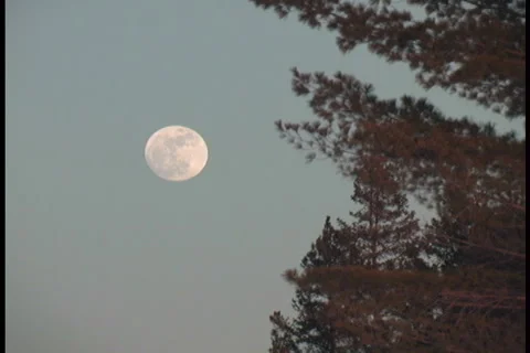 Winter Full Moon, Zoom out Video stock 2201078