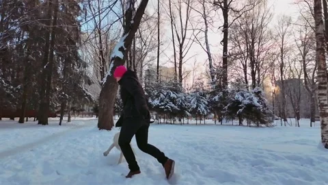 Winter Fun Joyful Dog Chase at Dusk Stock Footage 257780841