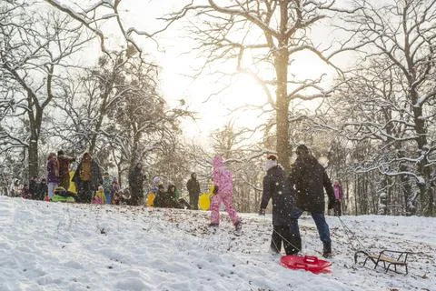 Winter fun with sleds Stock Photos