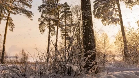 Winter futuristic sunset, hyperlapse, snowfall. Stock Footage 147335891