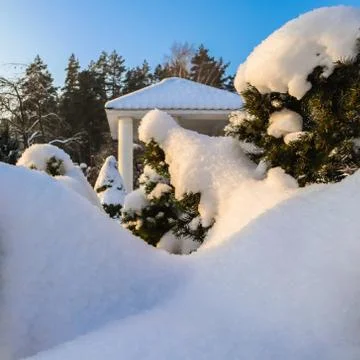 Winter garden covered with a thick layer of white fluffy snow on a sunny day. Foto stock