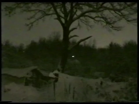 Winter Garden Stock Footage 343697224