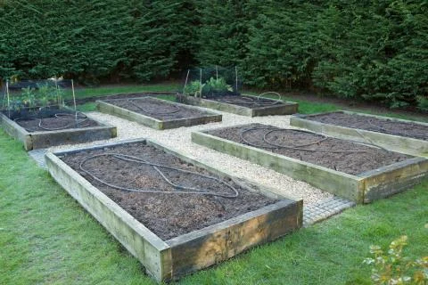 Winter garden maintenance, empty vegetable patch, UK Stock Photos